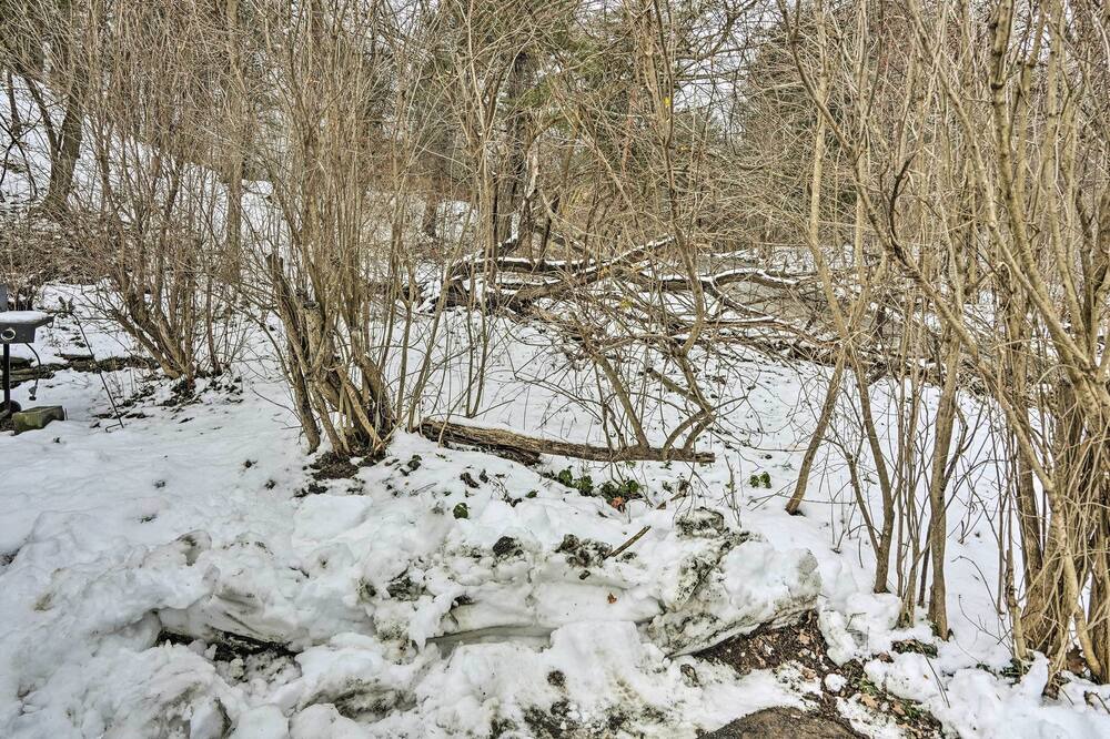 Photo of Outdoor in Town of New Baltimore