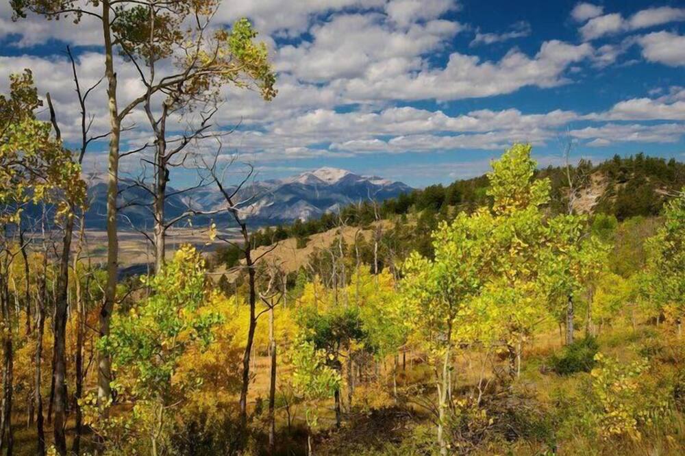 Photo of Outdoor in Chaffee County