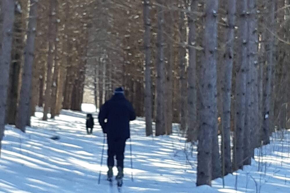 Photo of Others in Tay Valley