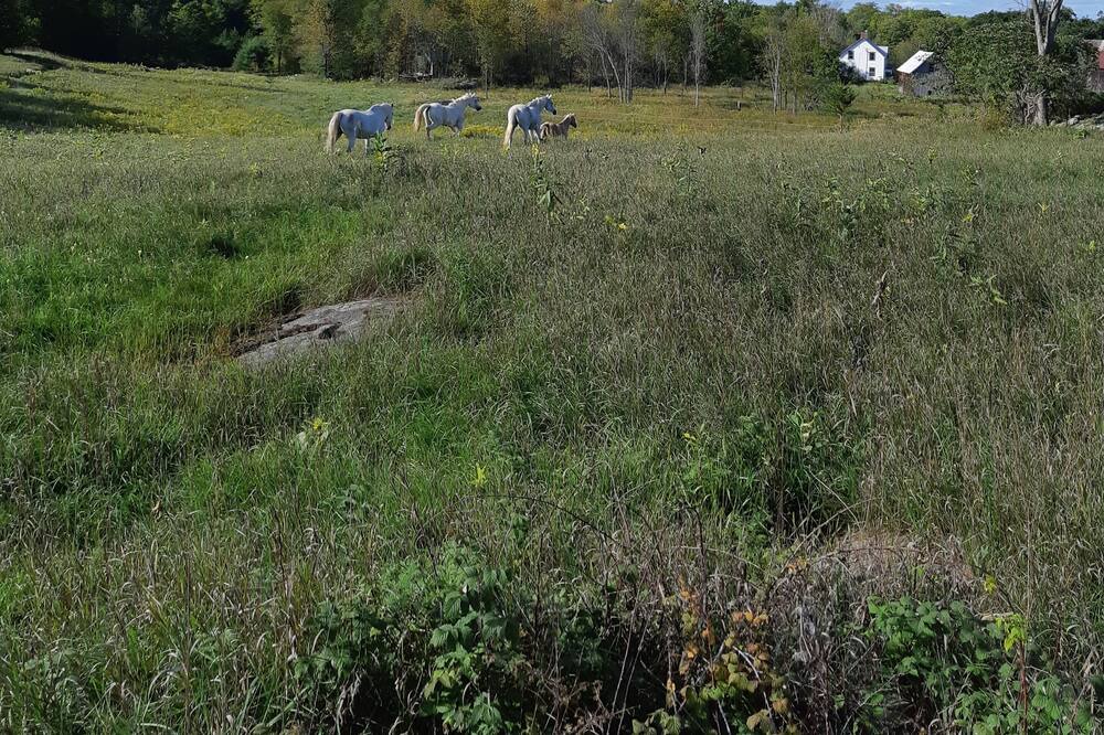 Photo of Others in Tay Valley