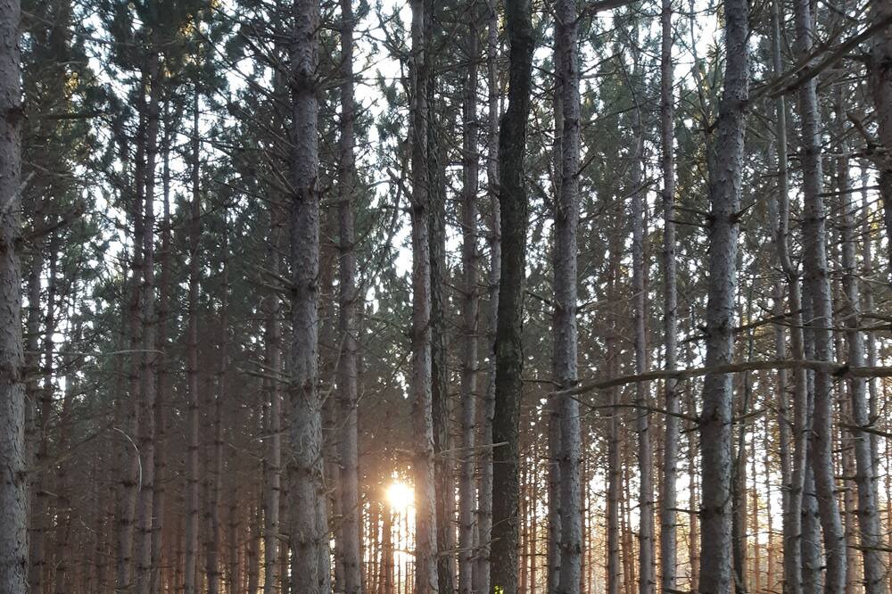 Photo of Others in Tay Valley