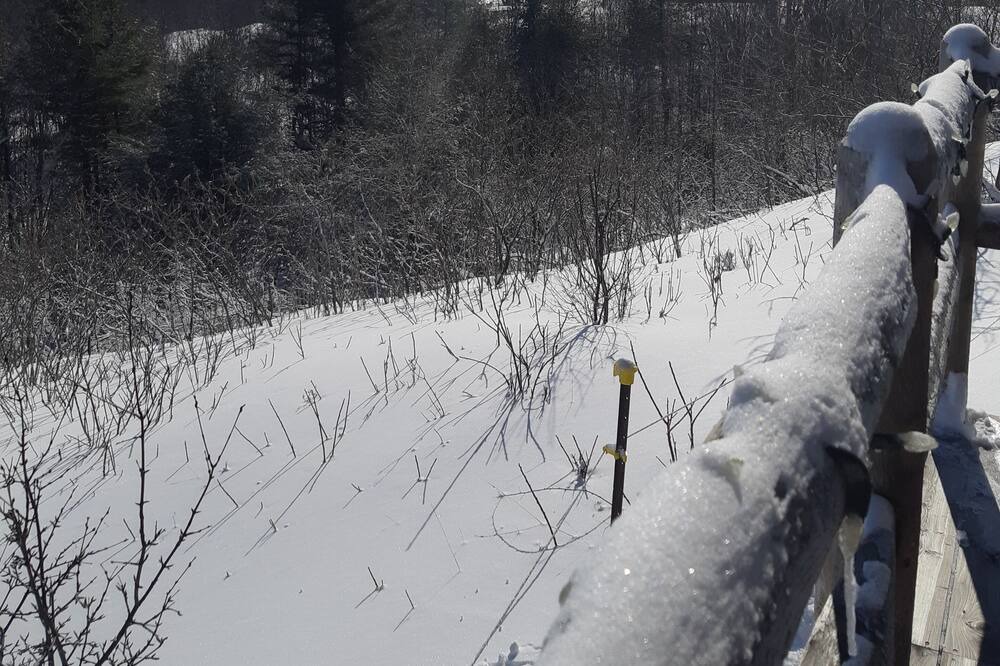 Photo of Others in Tay Valley