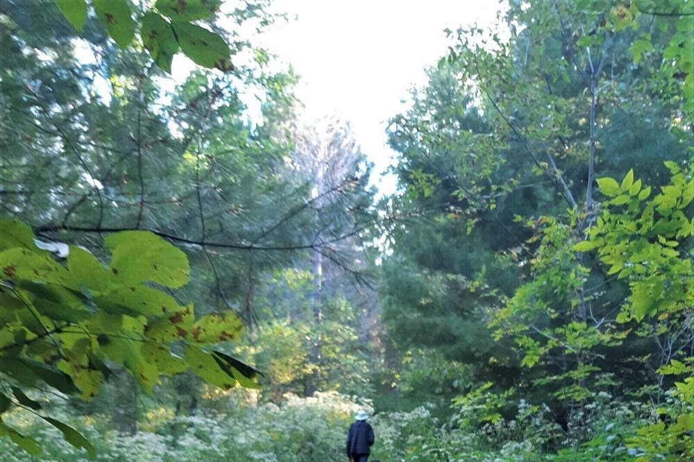 Photo of Others in Tay Valley