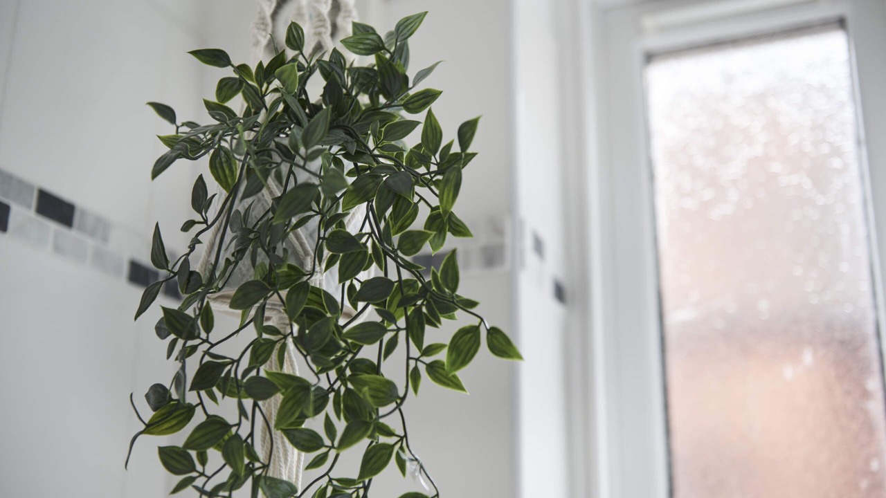 Photo of Others in Dudley