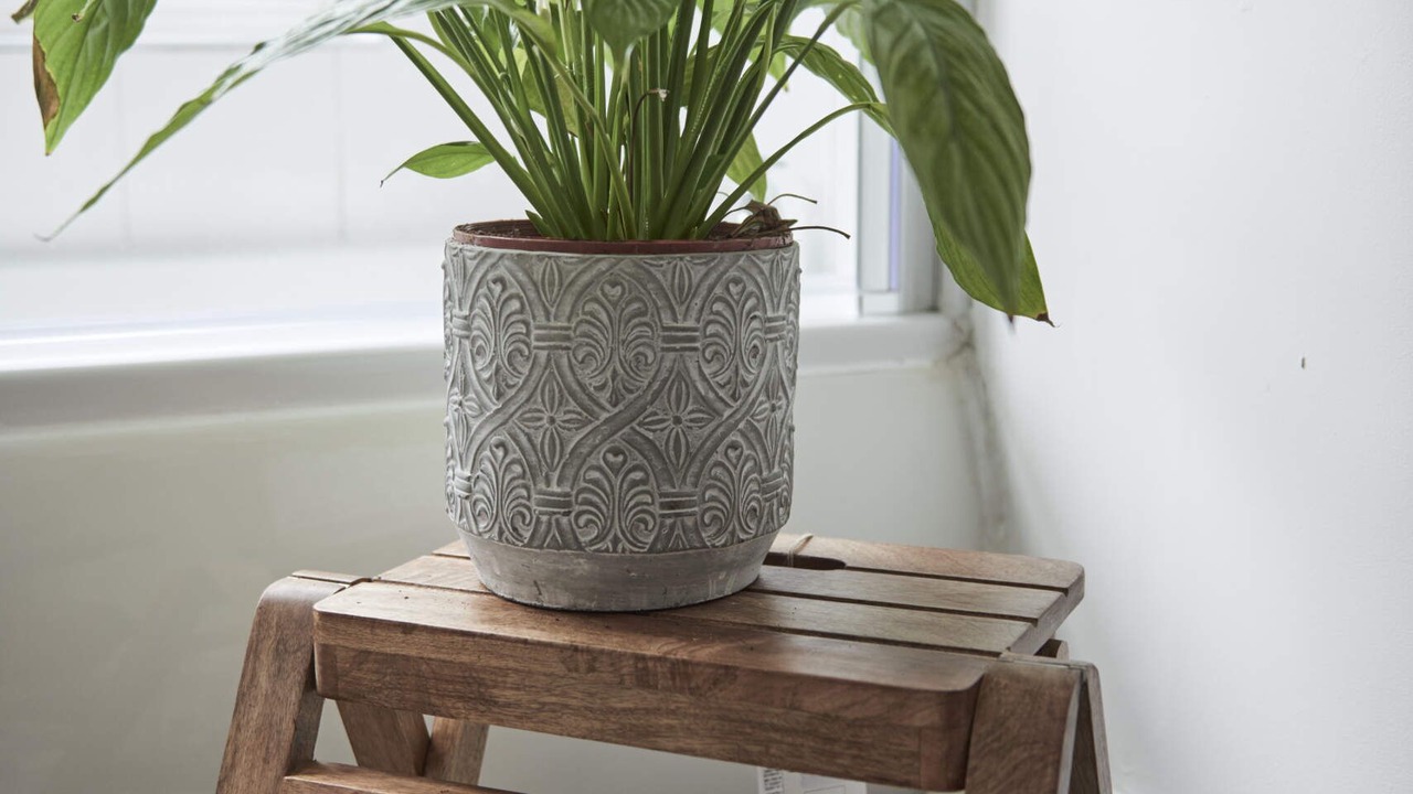 Photo of Others in Dudley