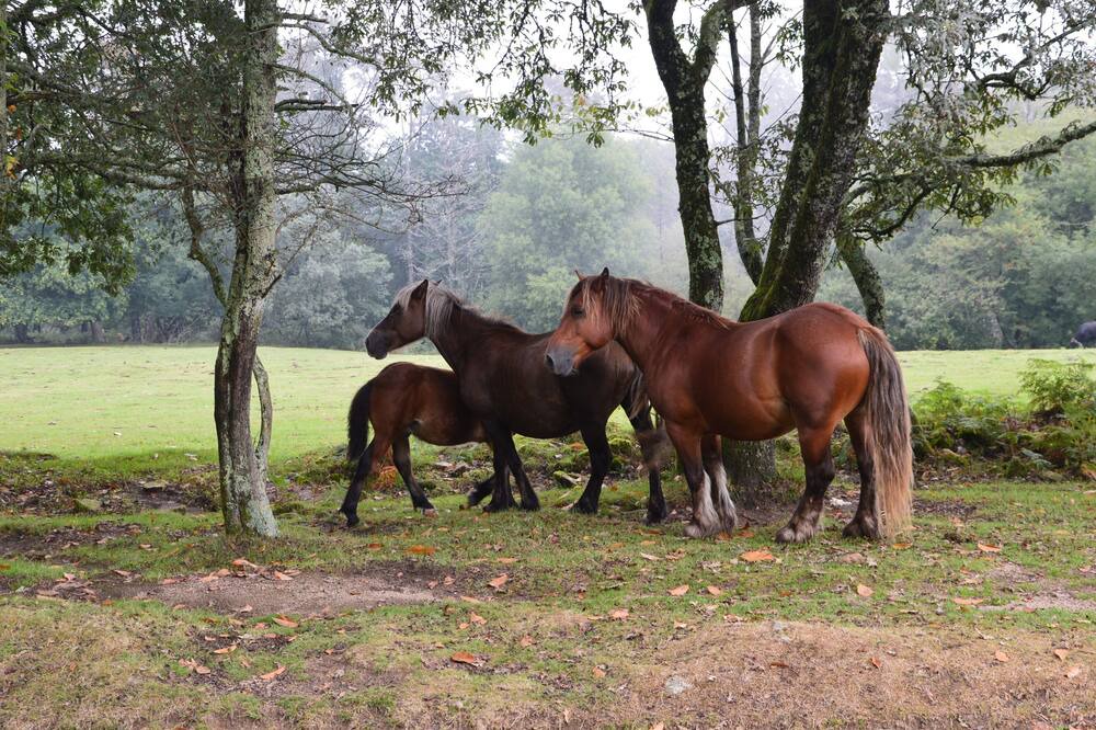 Photo of Outdoor in Irun