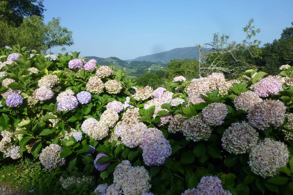 Photo of Outdoor in Irun