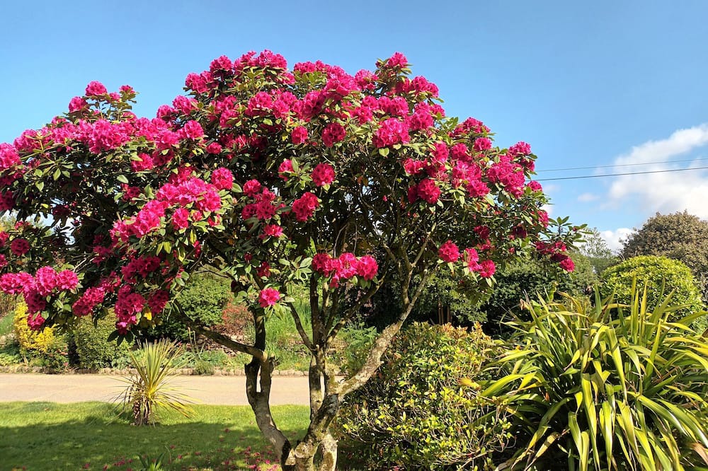Photo of Outdoor in Guiclan