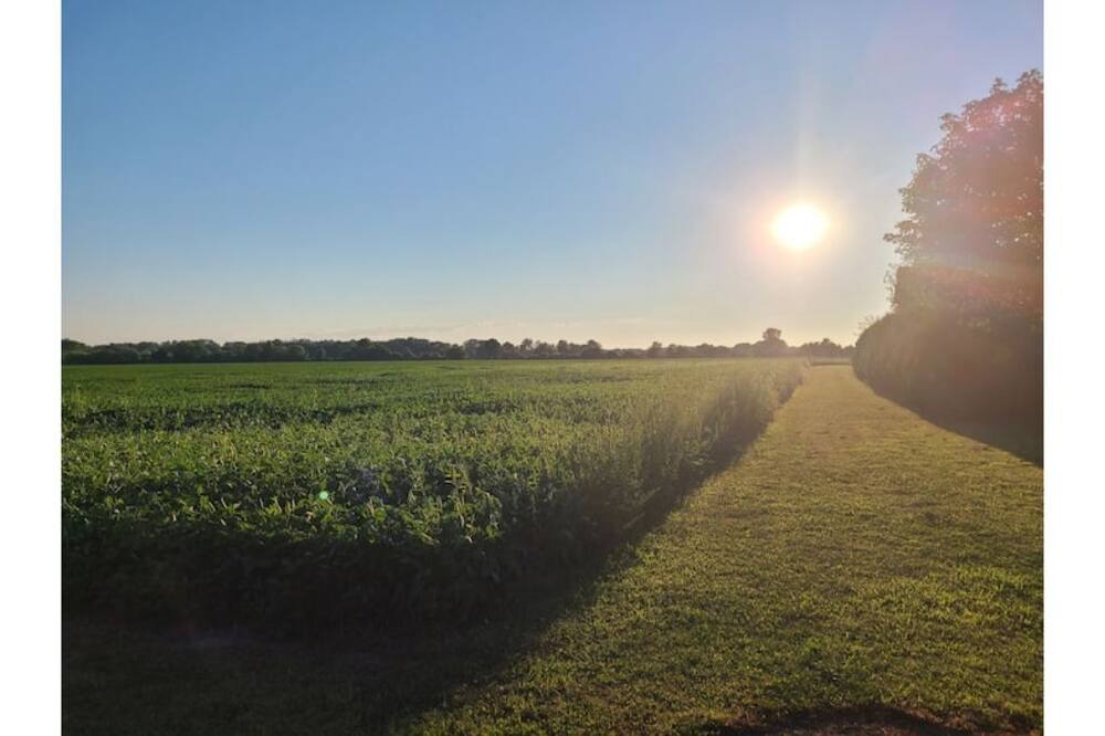 Photo of Outdoor in Kingsville