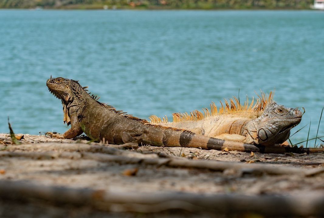 Photo of Outdoor in Tuxpan