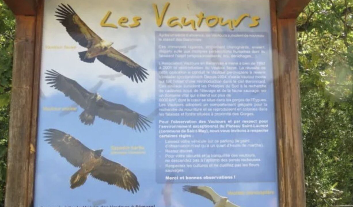 Photo of Outdoor in Saint-May