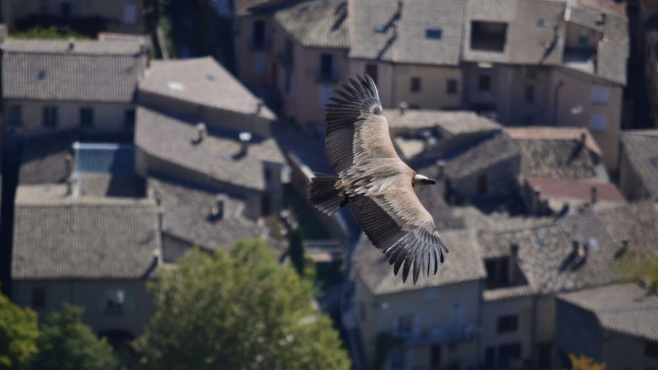 Photo of Outdoor in Saint-May