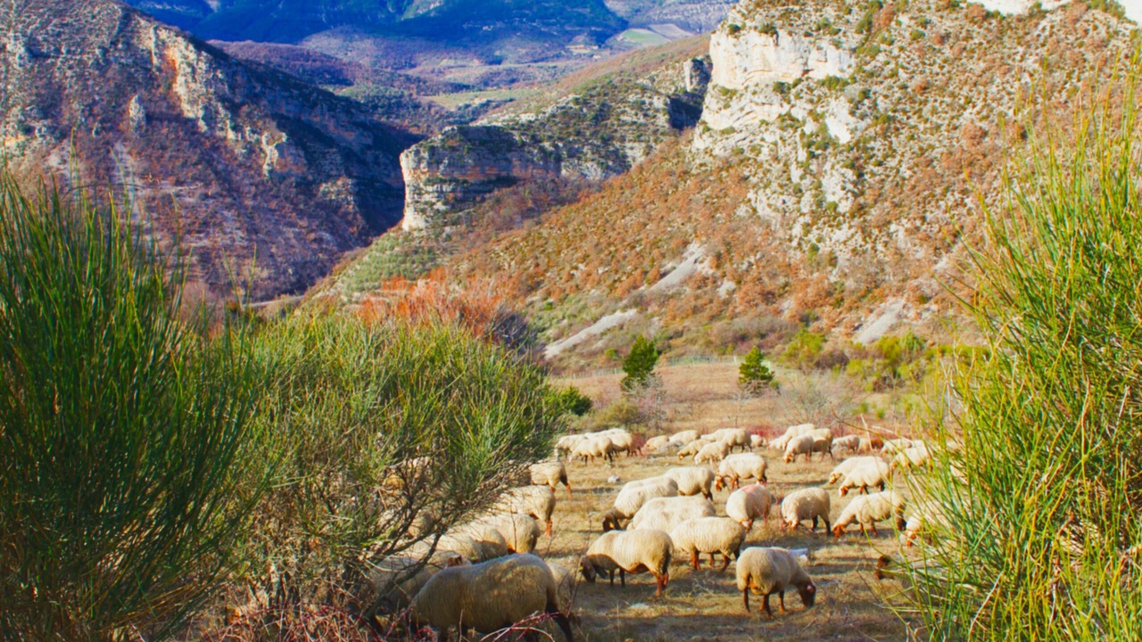 Photo of Others in Saint-May