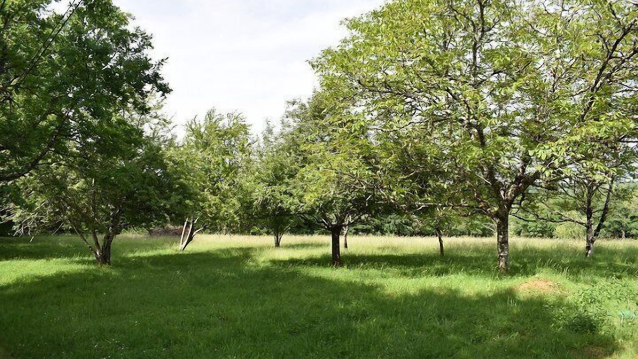 Photo of Others in Manaurie