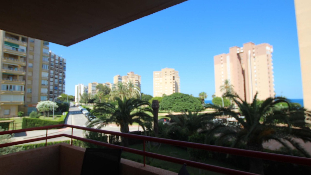 Photo of Outdoor in Dehesa de Campoamor