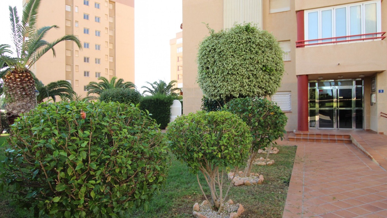 Photo of Outdoor in Dehesa de Campoamor