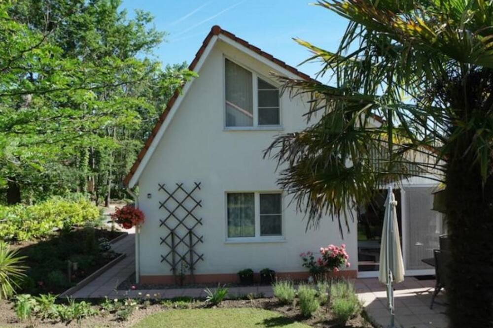 Photo of Outdoor in Daumazan-sur-Arize