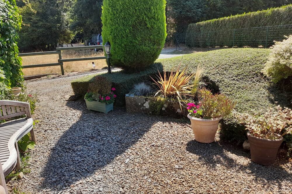 Photo of Others in Coulouvray-Boisbenatre