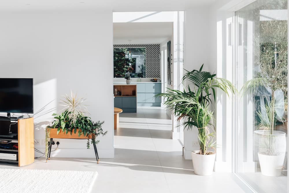 Photo of Others in Henley