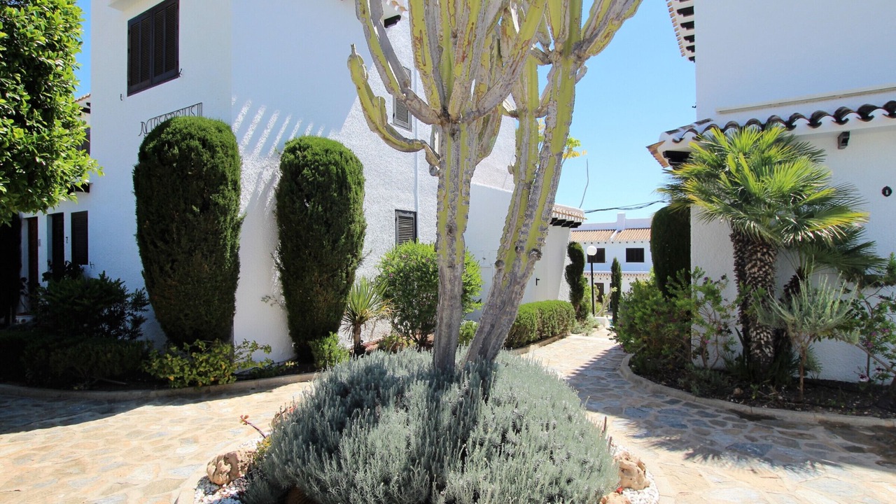 Photo of Outdoor in Dehesa de Campoamor