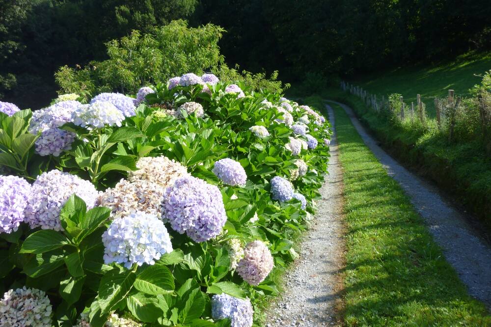 Photo of Outdoor in Irun