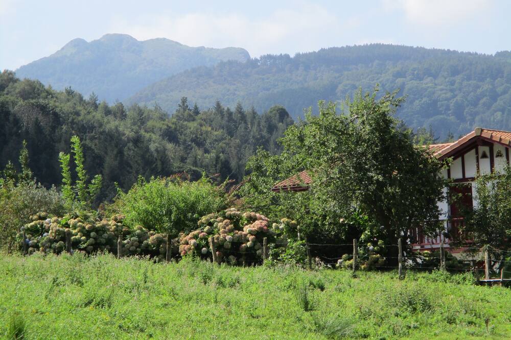 Photo of Others in Irun