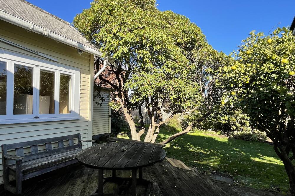 Photo of Outdoor in Petone