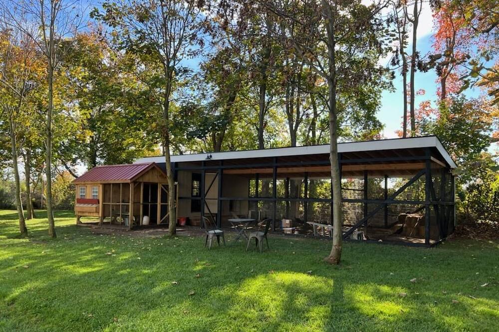 Photo of Outdoor in Aquebogue
