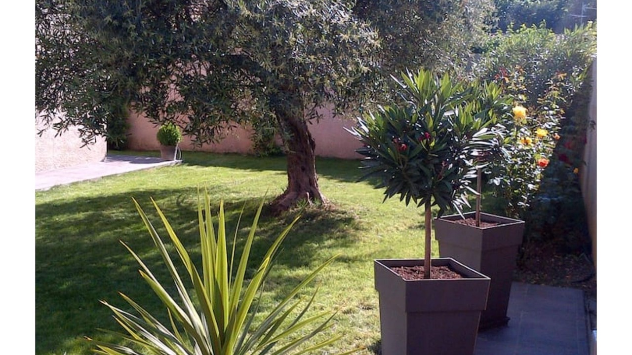 Photo of Outdoor in Valergues