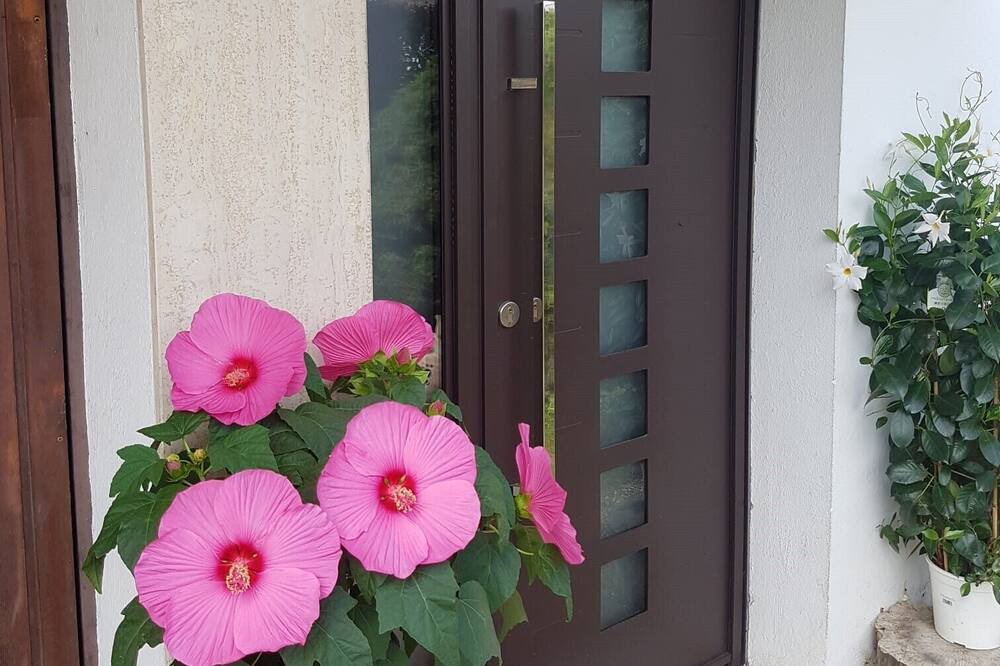 Photo of Outdoor in Pouilly