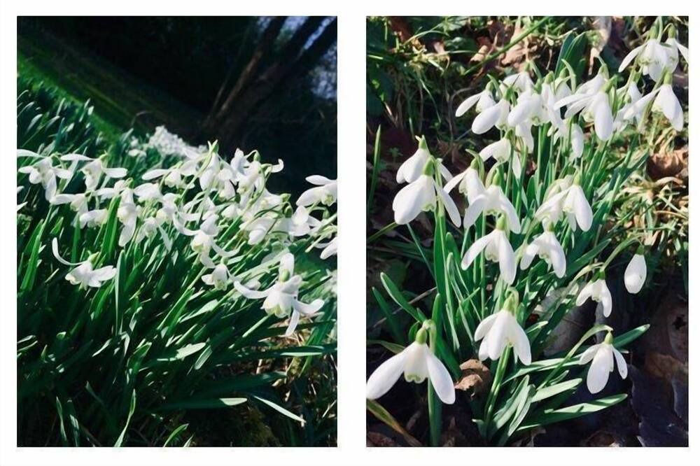 Photo of Others in Horner