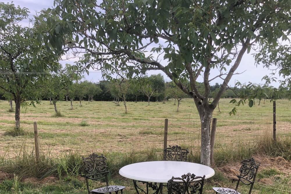 Photo of Outdoor in Bourg-sur-Gironde