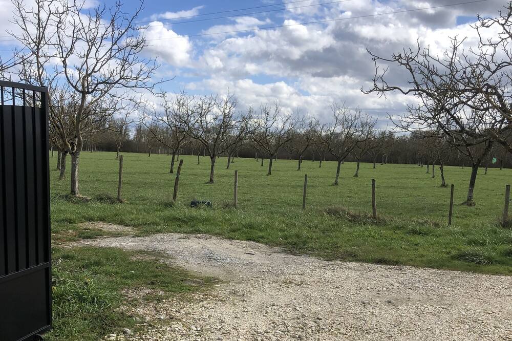 Photo of Outdoor in Bourg-sur-Gironde