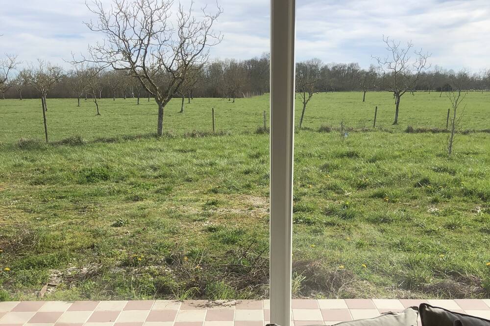 Photo of Others in Bourg-sur-Gironde