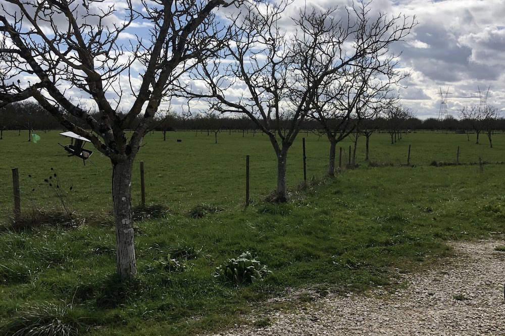 Photo of Outdoor in Bourg-sur-Gironde