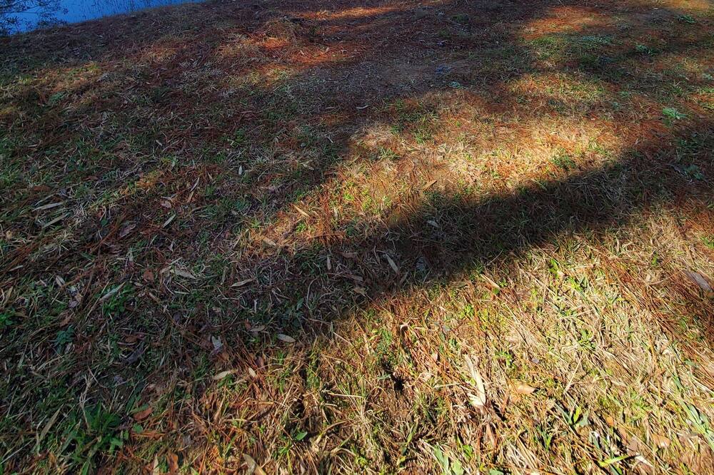Photo of Outdoor in Montgomery
