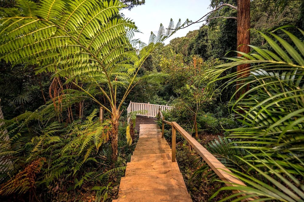 Photo of Outdoor in Mount Tamborine