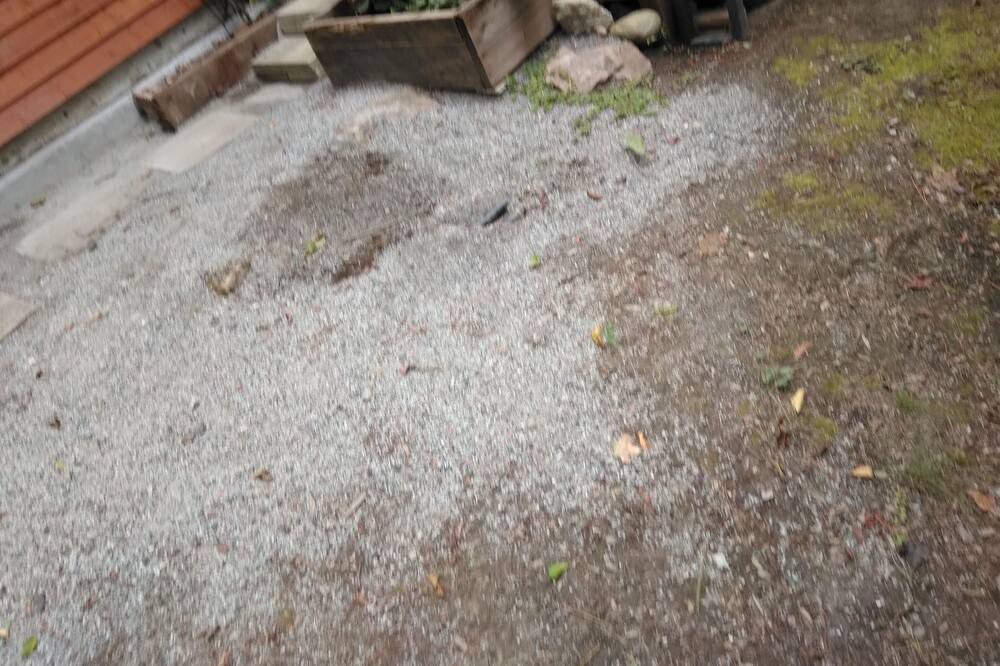 Photo of Outdoor in Chelsea