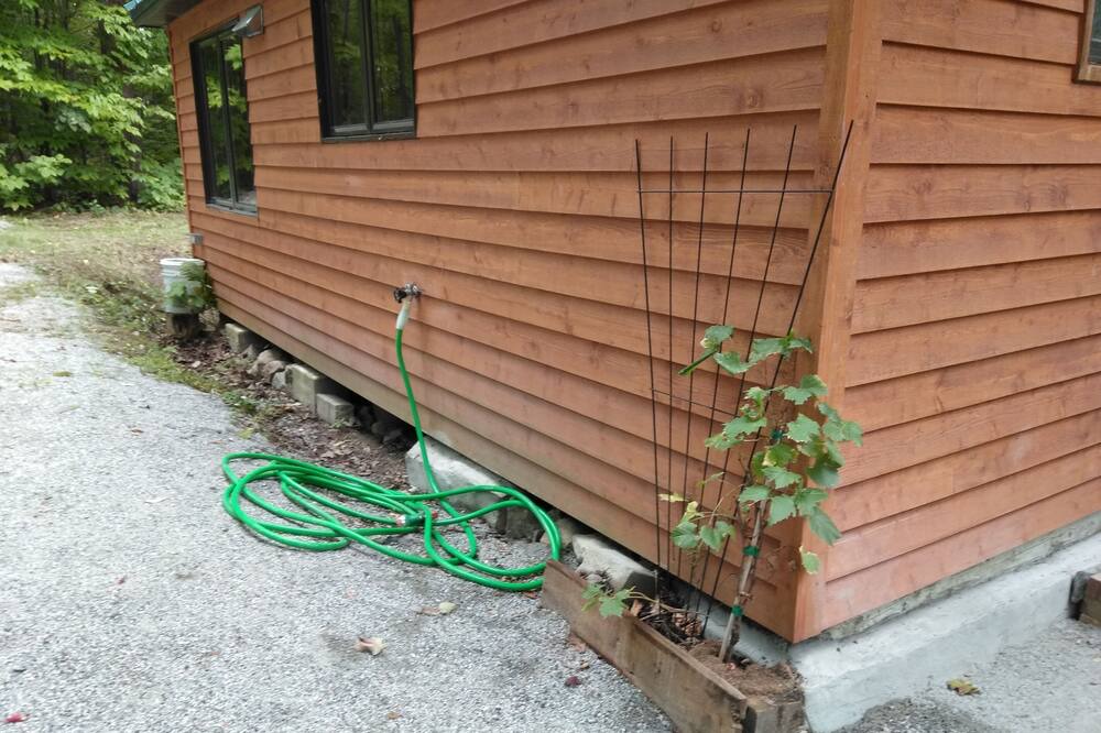 Photo of Outdoor in Chelsea