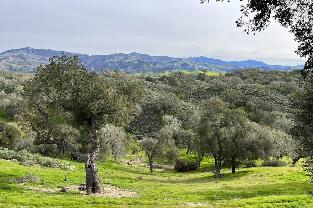 Photo of Others in Santa Ynez