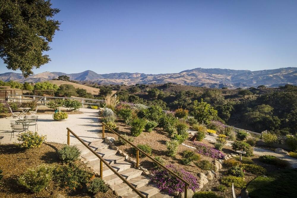 Photo of Others in Santa Ynez