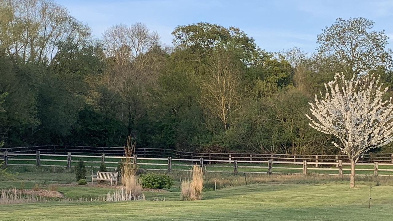 Photo of Outdoor in Beuvron-en-Auge