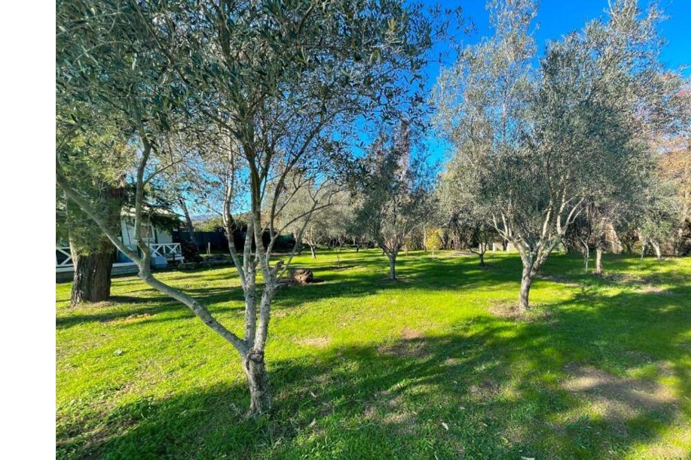 Photo of Outdoor in Speloncato