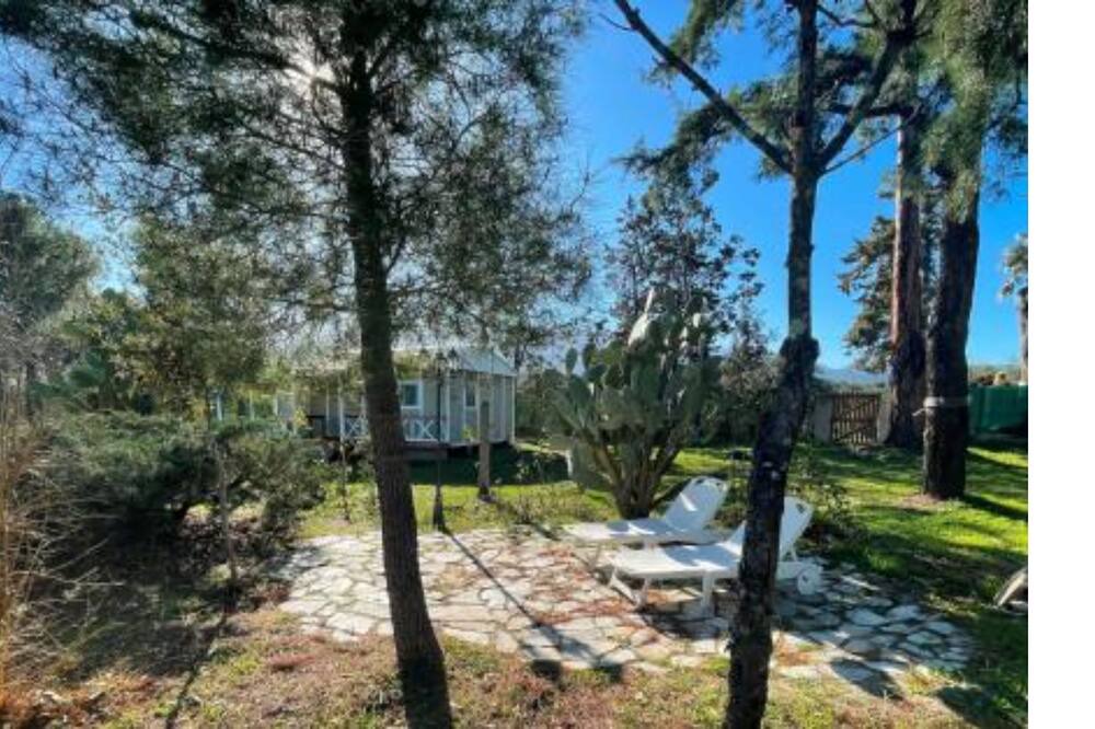 Photo of Outdoor in Speloncato