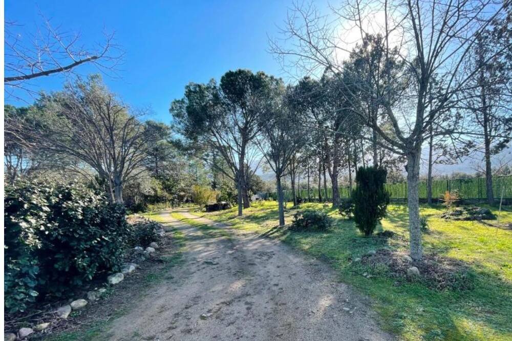 Photo of Outdoor in Speloncato