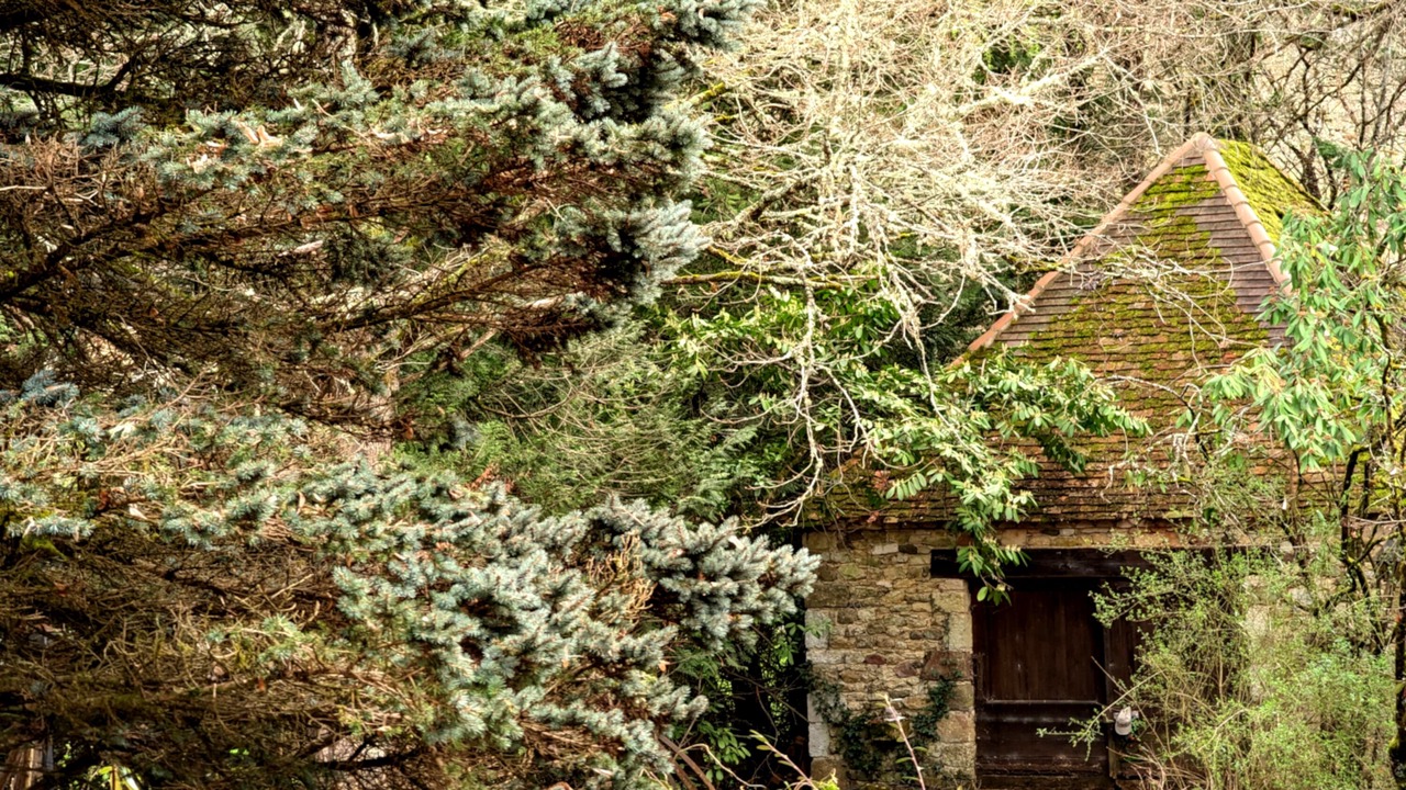 Photo of Outdoor in Urval