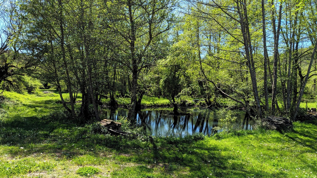 Photo of Outdoor in Urval