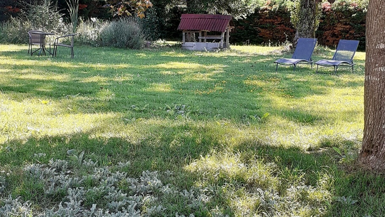Photo of Outdoor in Negrepelisse