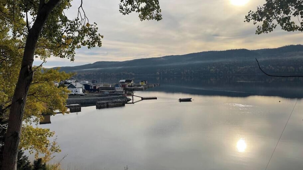 Photo of Others in King's Point