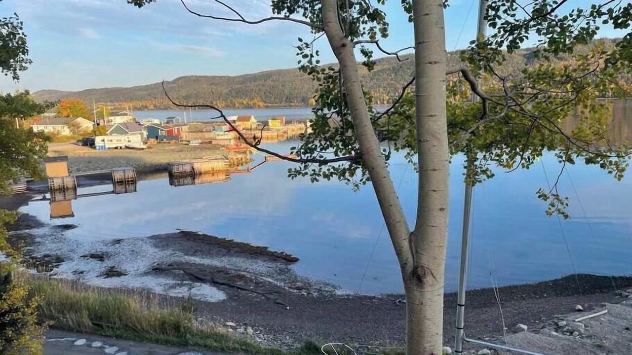 Photo of Others in King's Point